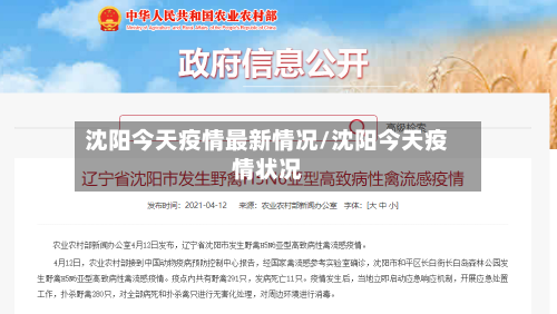 沈阳今天疫情最新情况/沈阳今天疫情状况-第2张图片