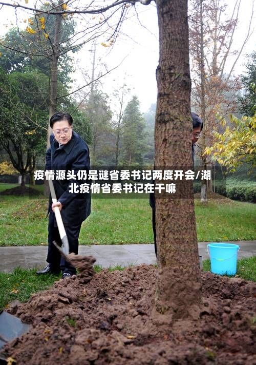 疫情源头仍是谜省委书记两度开会/湖北疫情省委书记在干嘛-第2张图片