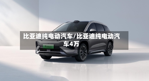 比亚迪纯电动汽车/比亚迪纯电动汽车4万-第2张图片