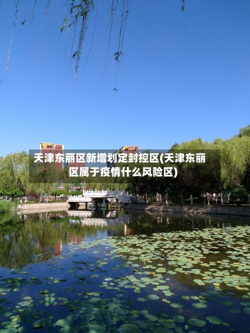 天津东丽区新增划定封控区(天津东丽区属于疫情什么风险区)-第2张图片