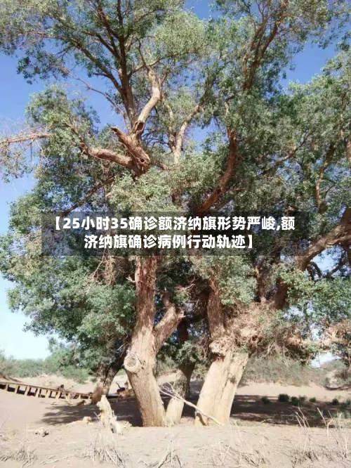 【25小时35确诊额济纳旗形势严峻,额济纳旗确诊病例行动轨迹】-第2张图片