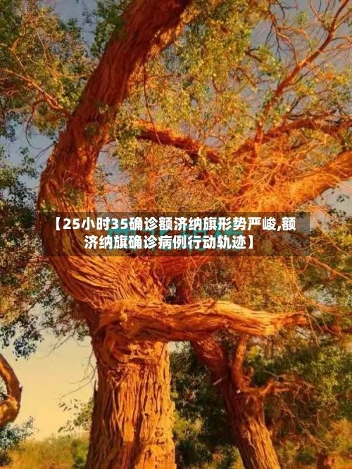 【25小时35确诊额济纳旗形势严峻,额济纳旗确诊病例行动轨迹】-第3张图片