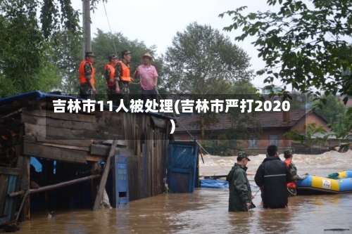 吉林市11人被处理(吉林市严打2020)-第2张图片