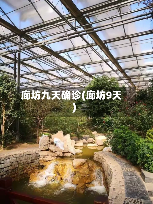 廊坊九天确诊(廊坊9天)-第2张图片