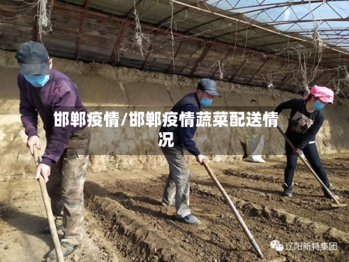 邯郸疫情/邯郸疫情蔬菜配送情况-第3张图片