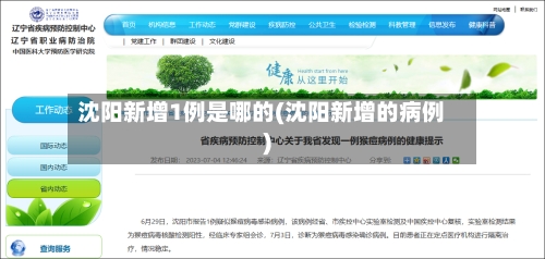 沈阳新增1例是哪的(沈阳新增的病例)