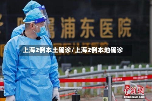 上海2例本土确诊/上海2例本地确诊-第2张图片